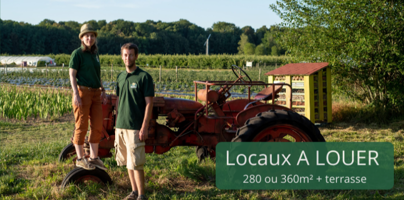 Agriculteur cherche restaurateur